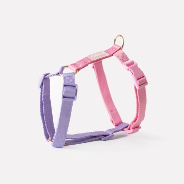 Nouveau Harnais Furlou - Strap lavender and pink - Sangles lavande et rose  - Le Maître des Lieux