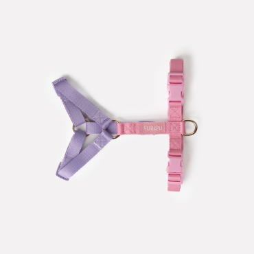 Nouveau Harnais Furlou - Strap lavender and pink - Sangles lavande et rose  - Le Maître des Lieux