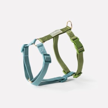 Nouveau Harnais Furlou - Strap blue and Green - Sangles bleu et vert  - Le Maître des Lieux