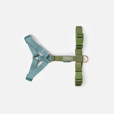 Nouveau Harnais Furlou - Strap blue and Green - Sangles bleu et vert  - Le Maître des Lieux