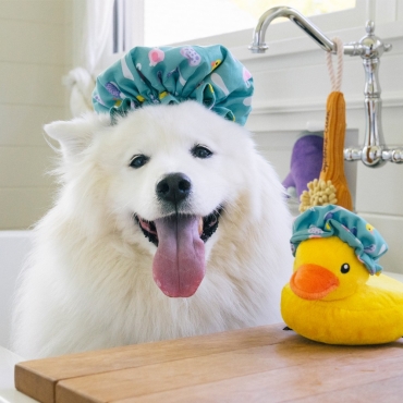 Peluche PLAY - Bubbles le Canard de bain - le Maître des Lieux
