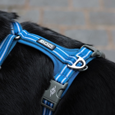 Harnais Dog Copenhagen Comfort Walk Air Bleu - Le Maître des Lieux