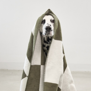 Couverture douce pour chien - Miacara Blocco Olive - le Maître des Lieux