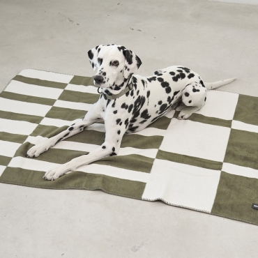 Couverture douce pour chien - Miacara Blocco Olive - le Maître des Lieux