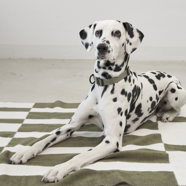 Couverture douce pour chien - Miacara Blocco Olive - le Maître des Lieux