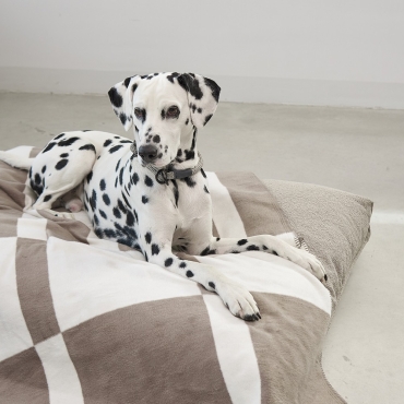 Couverture douce pour chien - Miacara Blocco Taupe- le Maître des Lieux