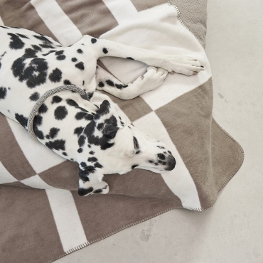 Couverture douce pour chien - Miacara Blocco Taupe- le Maître des Lieux