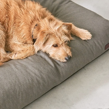 Coussin écologique et à mémoire de forme - Miacara Mare Ecorce - le Maître des Lieux