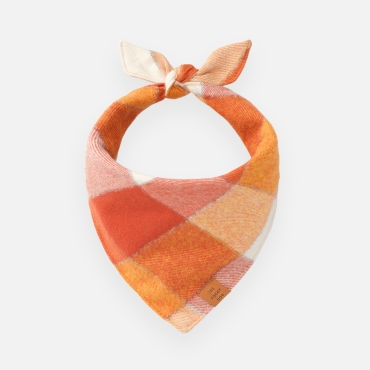 Bandana pour chien - The Foggy Dog Pumpkin Spice Latte - le Maître des Lieux