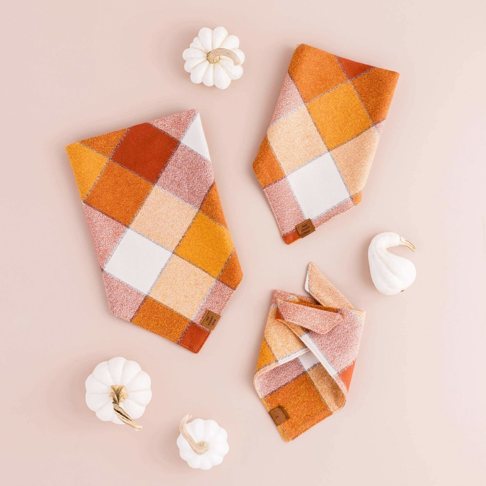 Bandana pour chien - The Foggy Dog Pumpkin Spice Latte - le Maître des Lieux Bandana pour chien - The Foggy Dog Pumpkin Spice Latte - le Maître des Lieux