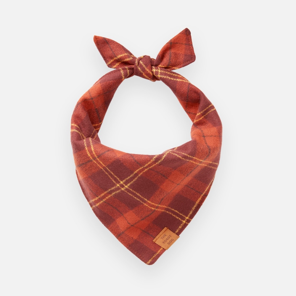 Bandana pour chien - The Foggy Dog Warm Cider  - le Maître des Lieux Bandana pour chien - The Foggy Dog Warm Cider  - le Maître des Lieux