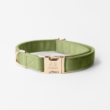 Nouveau Collier Furlou - Velvet green - Velours vert - le Maître des Lieux