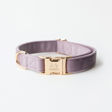 Nouveau Collier Furlou - Velvet lilac - Velours lilas - le Maître des Lieux