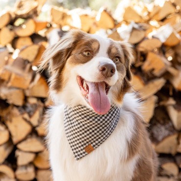 Bandana pour chien Pied-de-poule - The Foggy Dog - le Maître des Lieux