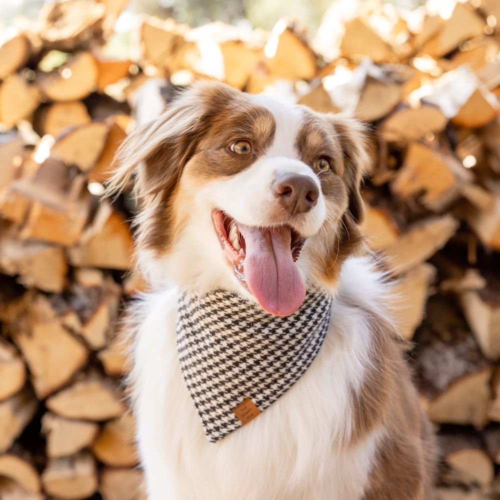 Bandana pour chien Pied-de-poule - The Foggy Dog - le Maître des Lieux Bandana pour chien Pied-de-poule - The Foggy Dog - le Maître des Lieux