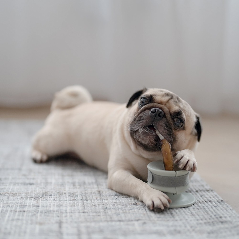 Support de mastication Lunoji - Chewden Grip - vert sauge - Le Maître des Lieux Support de mastication Lunoji - Chewden Grip - vert sauge - Le Maître des Lieux