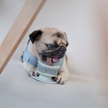 Support de mastication Lunoji pour petit chien - Chewden Grip - vert sauge - Le Maître des Lieux