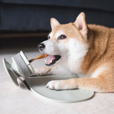 Support de mastication Lunoji pour petit chien - Chewden Grip - vert sauge - Le Maître des Lieux