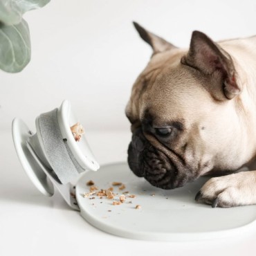 Plateau pour Chewden Grip ou Trove - Lunoji Chewden Base - vert sauge