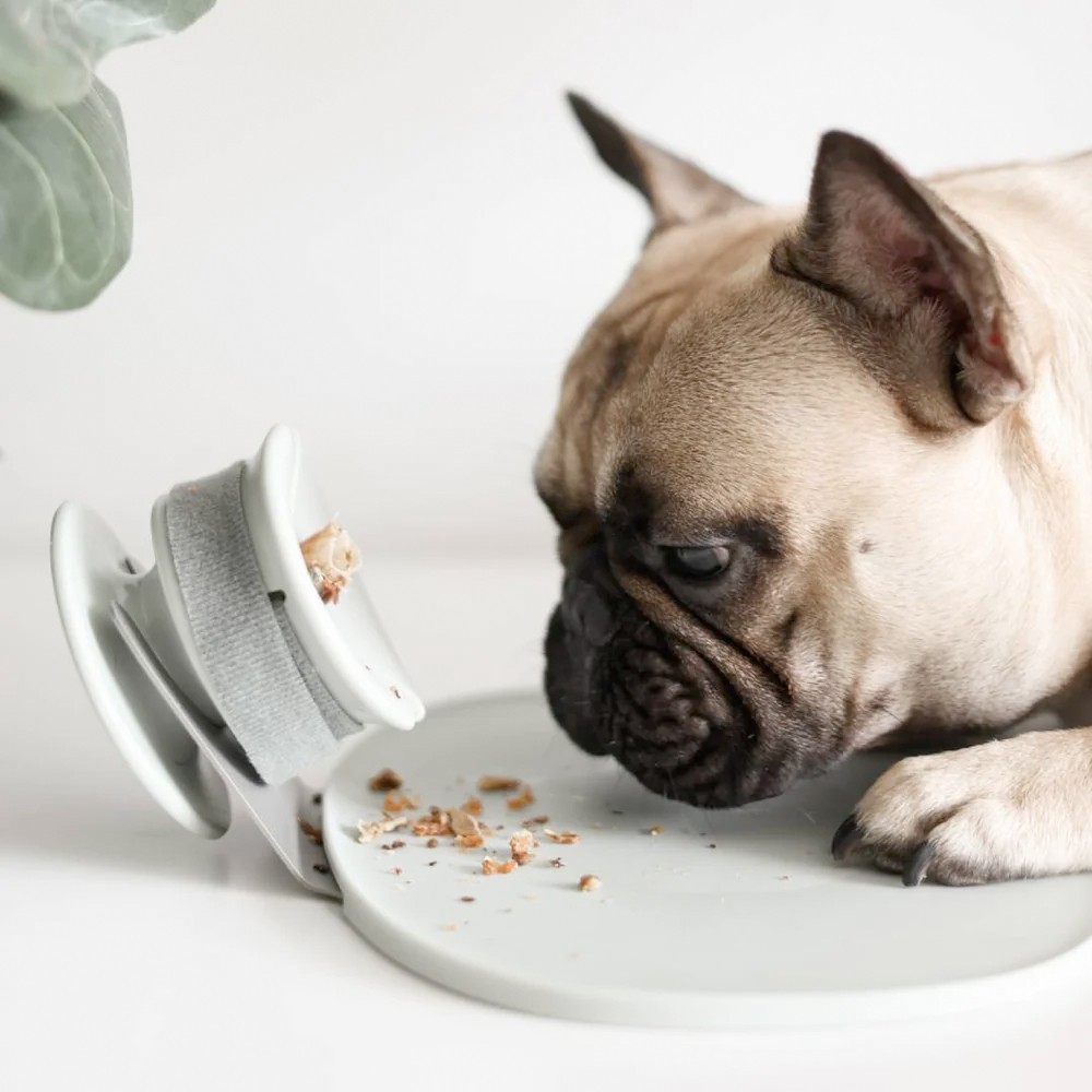 Plateau pour Chewden Grip ou Trove - Lunoji Chewden Base - vert sauge Plateau pour Chewden Grip ou Trove - Lunoji Chewden Base - vert sauge