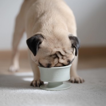 Pot à lécher pour chien Lunoji - CHEWDEN Trove - vert sauge - Le Maître des Lieux