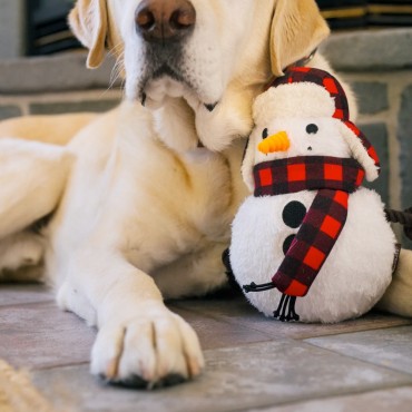 Peluche PLAY Blizzard Buddy - le Maître des Lieux