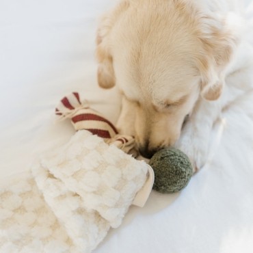 Peluche de fouille grande chaussette de Noël - Lambwolf Collective - le Maître des Lieux