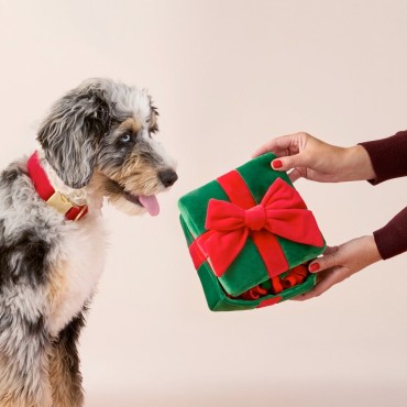 Tapis de fouille Cadeau de Noël - The Foggy Dog - le Maître des Lieux