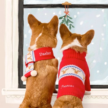 Écharpe de Noël pour chien - The Foggy Dog - le Maître des Lieux
