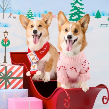 Écharpe de Noël pour chien - The Foggy Dog - le Maître des Lieux