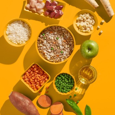 Fred & Felia - Repas au Poulet, au riz et aux petits légumes - le Maître des Lieux