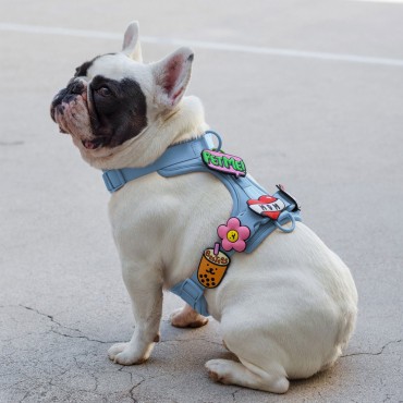 Charm en silicone pour collier, harnais ou laisse - Daisy Pink – Jiby Dog Crew - le Maître des Lieux