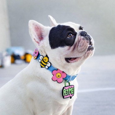 Charm en silicone pour collier, harnais ou laisse - Daisy Pink – Jiby Dog Crew - le Maître des Lieux