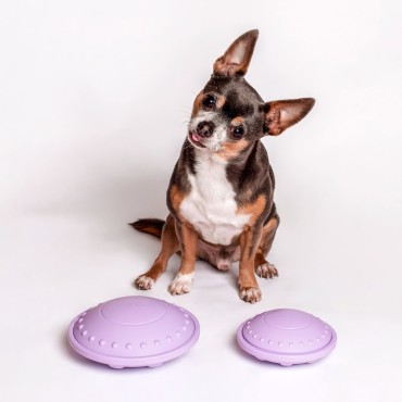 Jeu d’intelligence 3 en 1 - Awoo Flying Saucer - 2 tailles - le Maître des Lieux