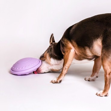 Jeu d’intelligence 3 en 1 - Awoo Flying Saucer - 2 tailles - le Maître des Lieux