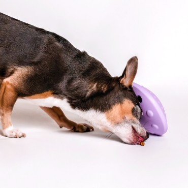 Jeu d’intelligence 3 en 1 - Awoo Flying Saucer - 2 tailles - le Maître des Lieux