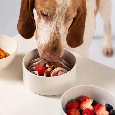 Awoo Good vibes Slow Feeder - Ralentisseur rose à ventouser dans une gamelle - Le Maître des Lieux