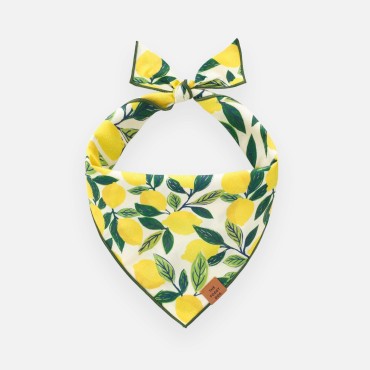 Bandana pour chien Zeste de citron - The Foggy Dog - le Maître des Lieux