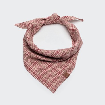 Bandana pour chien Cloud7 - le Maître des Lieux