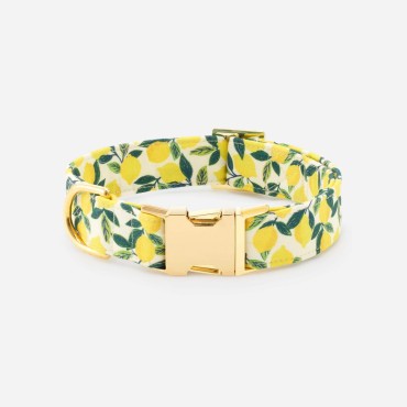 Collier pour chien Zeste de citron - The Foggy Dog - le Maître des Lieux