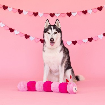 Peluche chenille XXL pour chien Love Bug - Fringe Studio - le Maître des Lieux