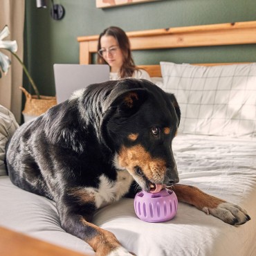 Jouet de léchage pour chien pupsicle - Woof - 3 tailles - le Maître des Lieux