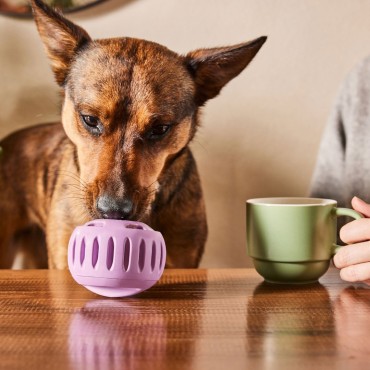 Jouet de léchage pour chien pupsicle - Woof - 3 tailles - le Maître des Lieux