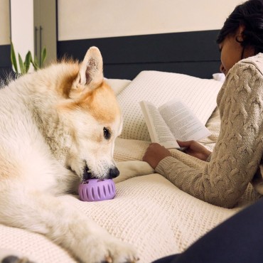 Jouet de léchage pour chien pupsicle - Woof - 3 tailles - le Maître des Lieux