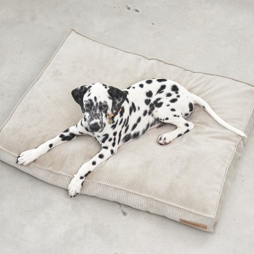 Coussin en velours côtelé et à mémoire de forme - Miacara Cordo - le Maître des Lieux