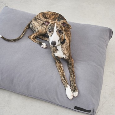 Coussin à mémoire de forme - MiaCara Comodo - Ardoise - le Maître des Lieux