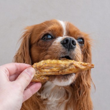 Ailes de dinde Kivo Petfood - 200g - le Maître des Lieux