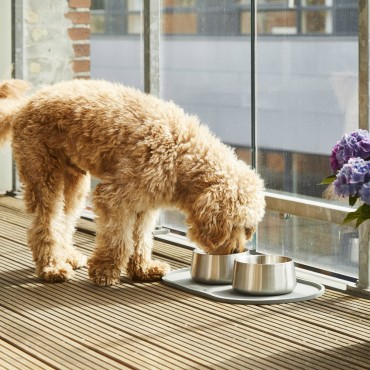 Gamelle pour chien en acier inoxydable - Dog Copenhagen Vega Bowl - Steel - 2 tailles - le Maître des Lieux