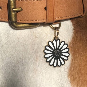 Médaille pour chien Marguerite - Two Tails Pet Company - Gravure offerte - le Maître des Lieux