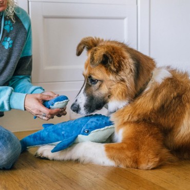 Peluche PLAY - Collection Ocean Buddies - Grandes Baleines Bleues Big Blue & Baby Blue pour chien - le Maître des Lieux